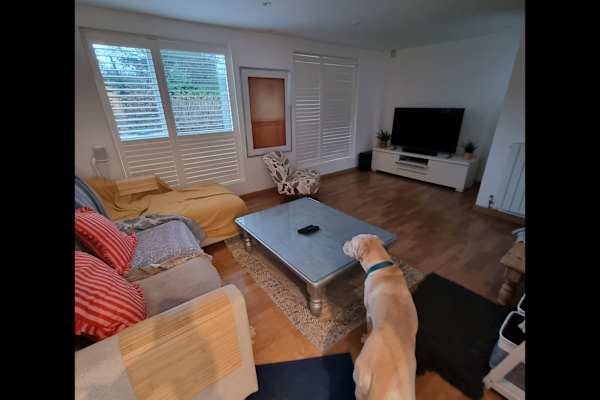 House sit in Woldingham, United Kingdom