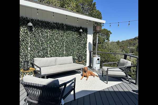 House sit in Larkspur, CA, US