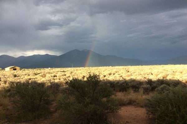 House sit in Taos, NM, US