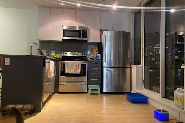 House sit in Vancouver, BC, Canada