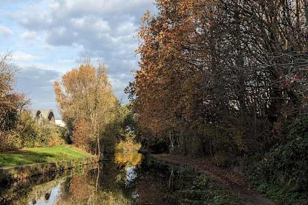 House sit in Manchester, United Kingdom