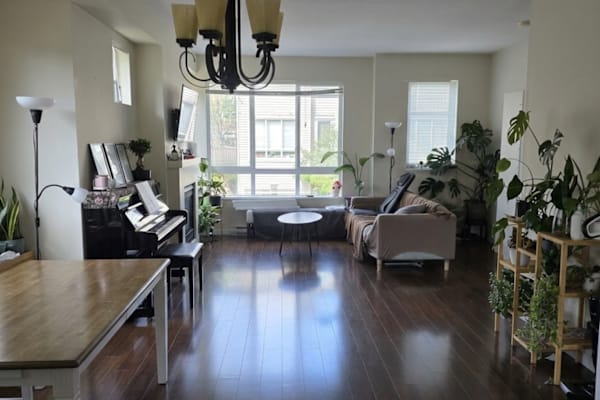 House sit in Coquitlam, BC, Canada