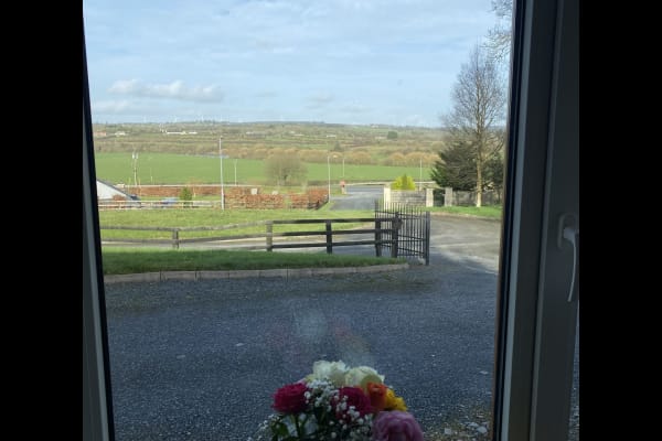 House sit in Abbeyfeale, Ireland