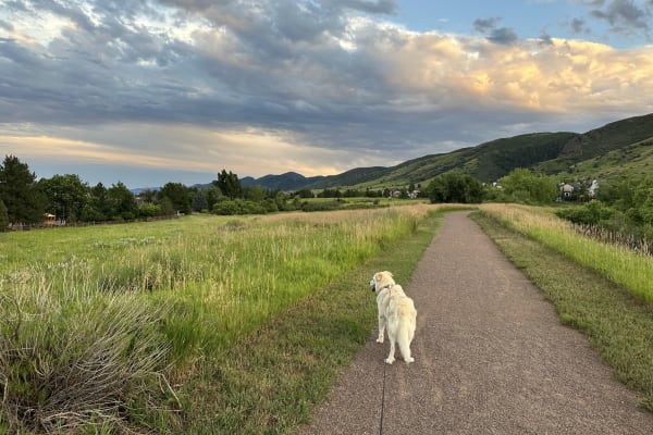 House sit in Ken Caryl, CO, US