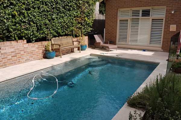 House sit in Artarmon, NSW, Australia