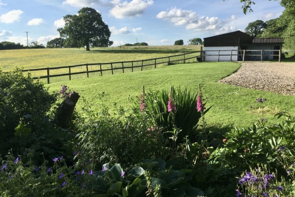 House sit in Semley, United Kingdom