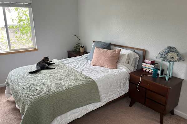 House sit in Lafayette, CO, US