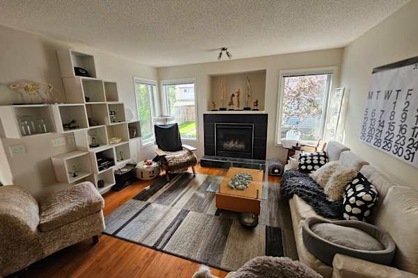 House sit in Calgary, AB, Canada