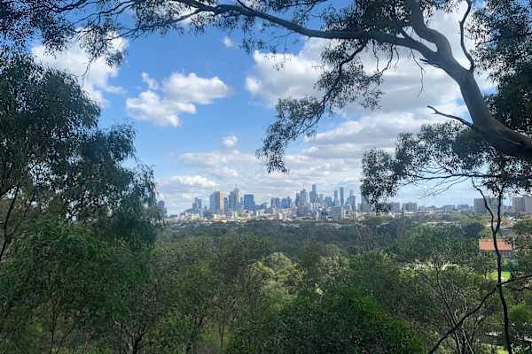 House sit in Melbourne, VIC, Australia