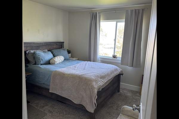 House sit in Bozeman, MT, US