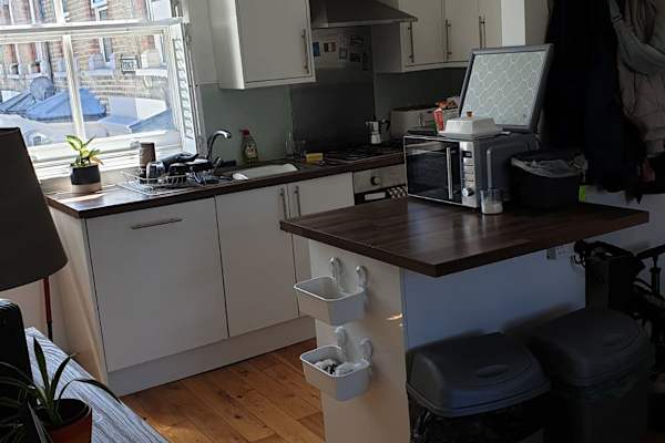 House sit in Lower Clapton, United Kingdom