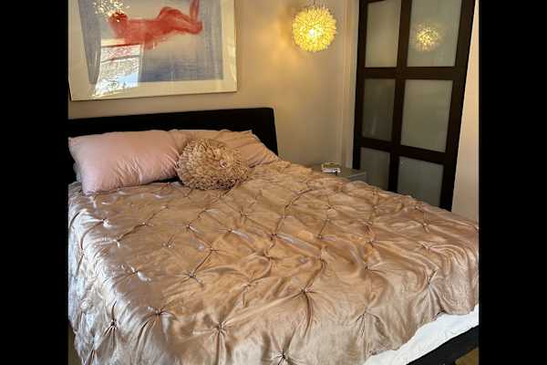 House sit in Madison, WI, US