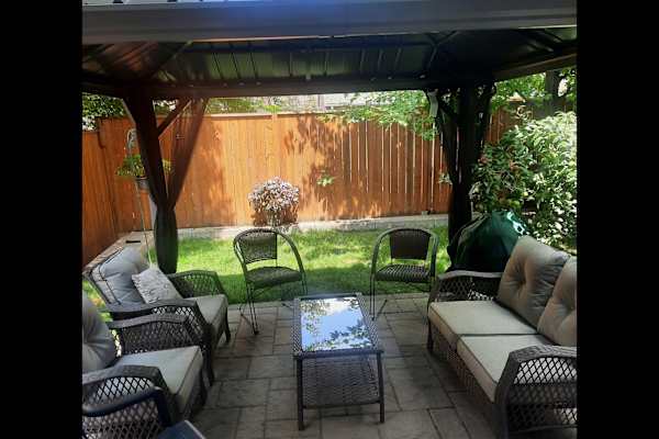 House sit in Toronto, ON, Canada
