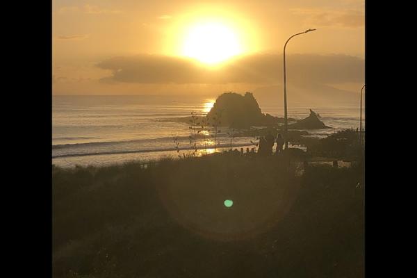 House sit in Mangawhai, New Zealand