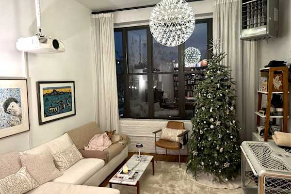 House sit in Brooklyn, NY, US