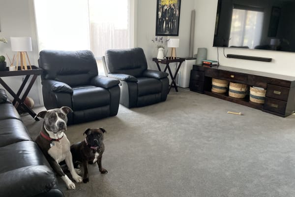 House sit in Melbourne, VIC, Australia