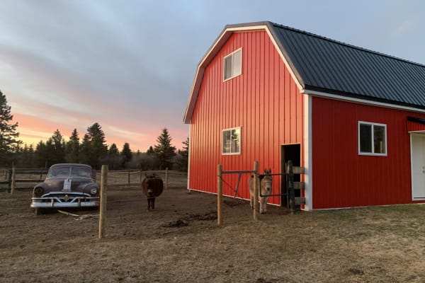 House sit in Cochrane, AB, Canada