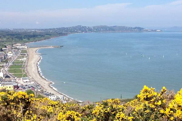 House sit in Bray, Ireland