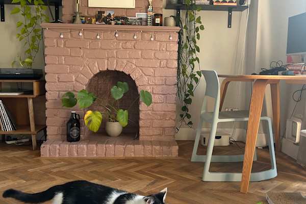 House sit in Walthamstow, United Kingdom