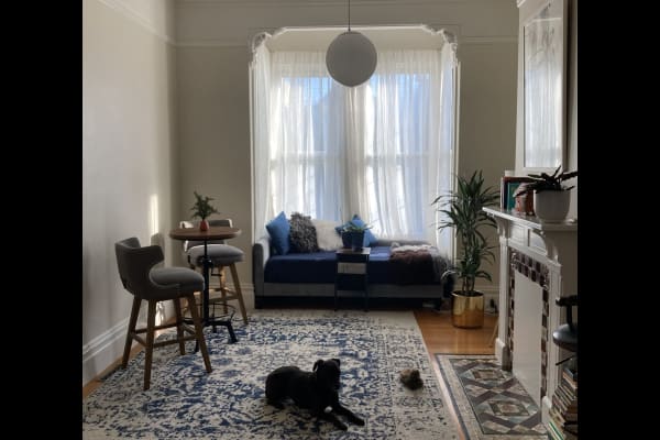 House sit in San Francisco, CA, US