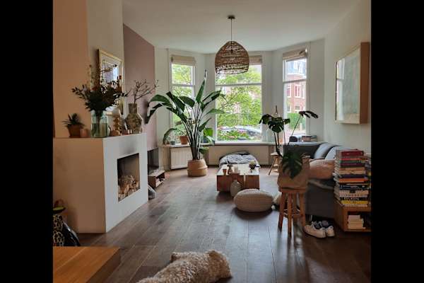 House sit in Haarlem, Netherlands