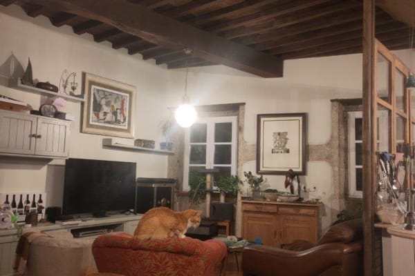 House sit in A Coruña, Spain