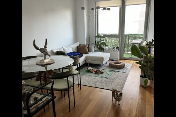 House sit in Brooklyn, NY, US