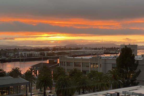 House sit in Oakland, CA, US