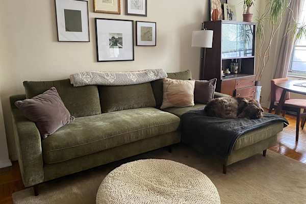 House sit in Borough of Queens, NY, US