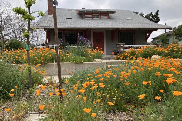 House sit in Riverside, CA, US