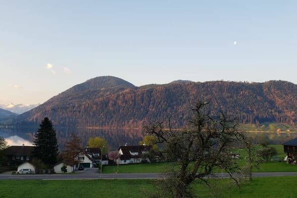 House sit in Oberägeri, Switzerland