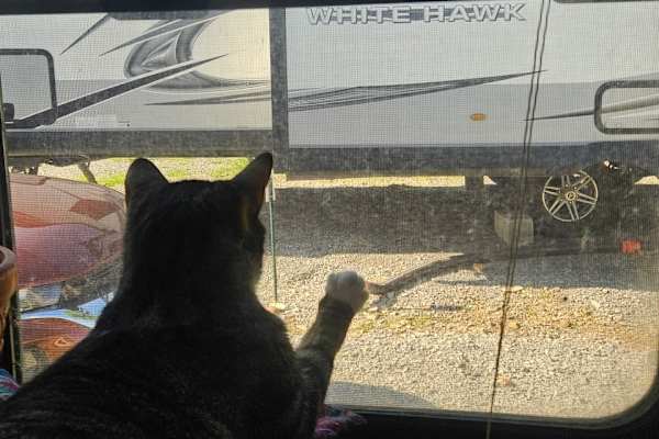 House sit in Pryor, OK, US