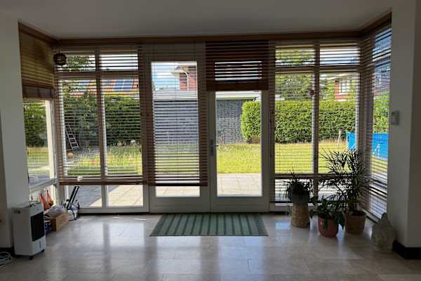 House sit in Utrecht, Netherlands