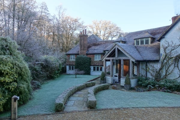 House sit in Haslemere, United Kingdom