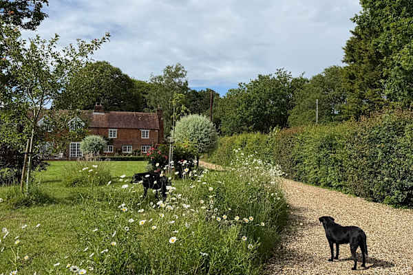 House sit in Hamstead Marshall, United Kingdom
