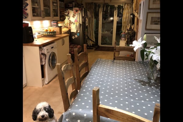 House sit in Cambridge, United Kingdom