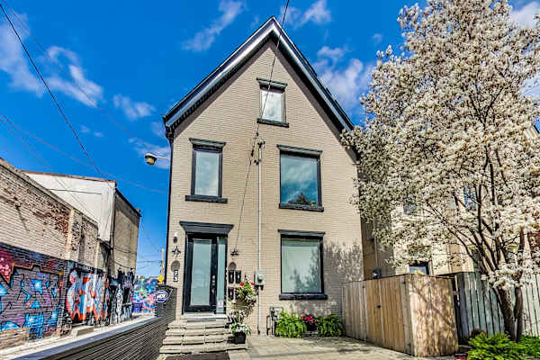 House sit in Toronto, ON, Canada