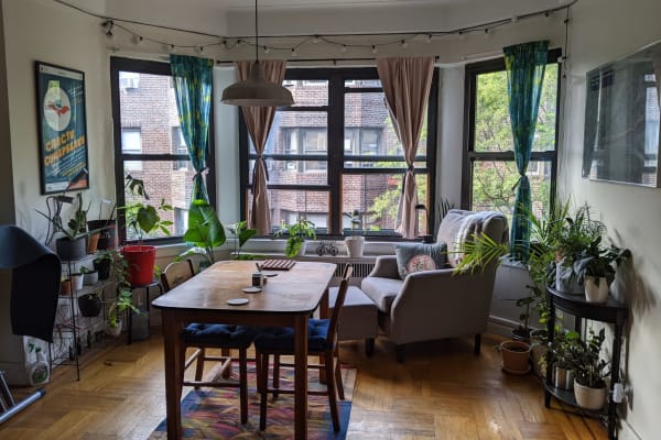 House sit in New York City, NY, US