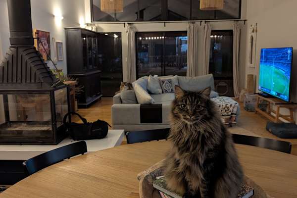 House sit in Mundaring Weir, WA, Australia