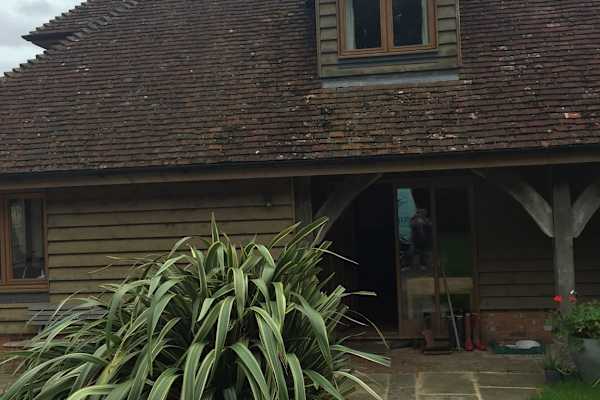 House sit in Ashford, United Kingdom