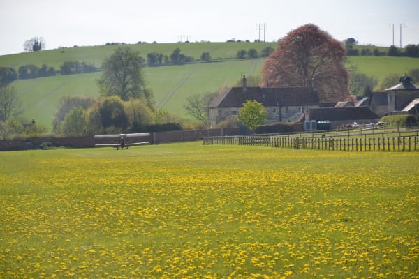 House sit in Salisbury, United Kingdom