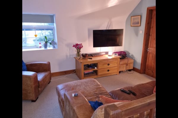 House sit in Seaford, United Kingdom