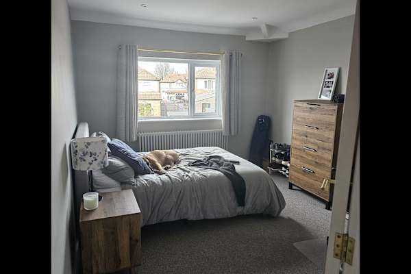 House sit in Chester, United Kingdom