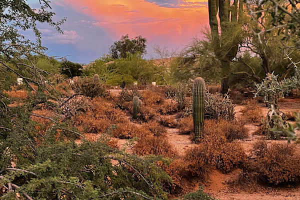 House sit in Scottsdale, AZ, US