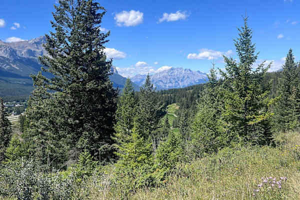 House sit in Canmore, AB, Canada