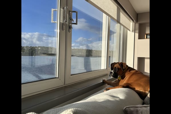 House sit in Menai Bridge, United Kingdom