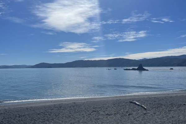 House sit in Wellington, New Zealand