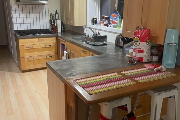 House sit in Squamish, BC, Canada