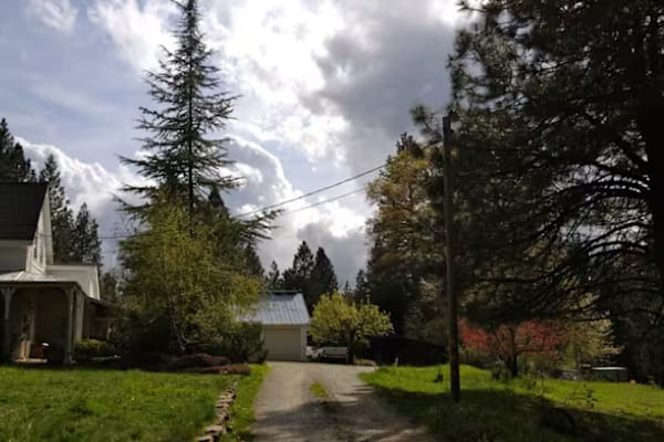 House sit in Nevada City, CA, US