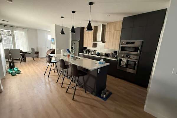 House sit in Calgary, AB, Canada